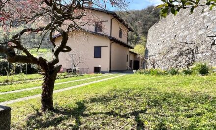 Incontro Siblings 8/9 Novembre 2025 presso Asso (CO)